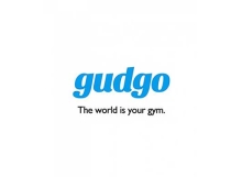 Gudgo